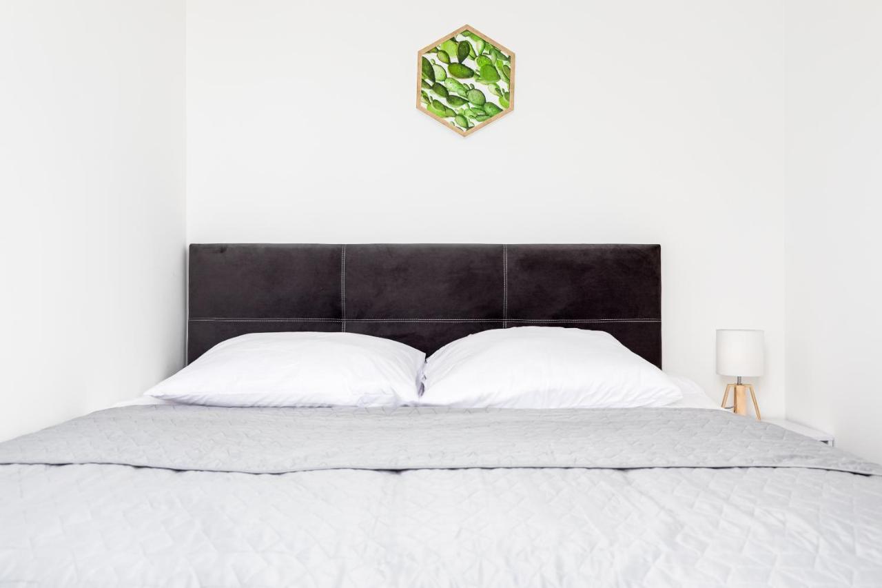 Przytulny Apartament 62 Centrum Szczecina מראה חיצוני תמונה
